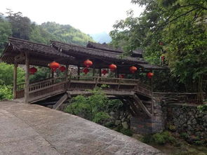 溫州雁蕩山與楠溪江之行 于雁蕩山茶苑品茗自然