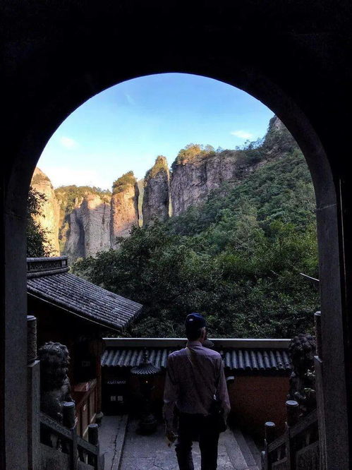 雁蕩山茶苑 秋日花海，如夢(mèng)仙境