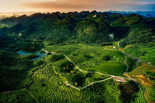 游英德山水 品茶享人生 雁蕩山茶苑開啟特色精品茶旅新體驗(yàn)