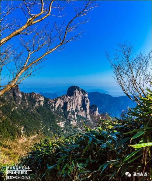 驢步雁蕩臥龍山脊，尋幽茶苑品人間清歡