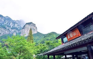 名山篇丨五個男人在雁蕩山建了一間酒店，大受追捧