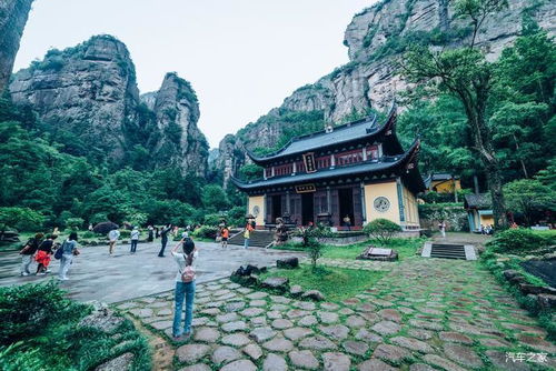 雁蕩仙蹤三日行 自駕尋蹤神仙眷侶，穿越《瑯琊榜》茶苑秘境